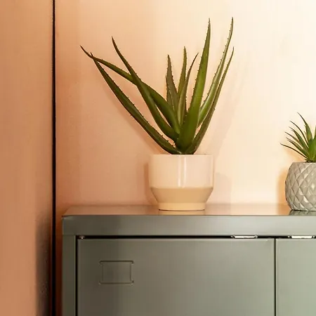 Massa Alta E 公寓式酒店 4*